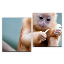 Monkey rocker bauanleitung